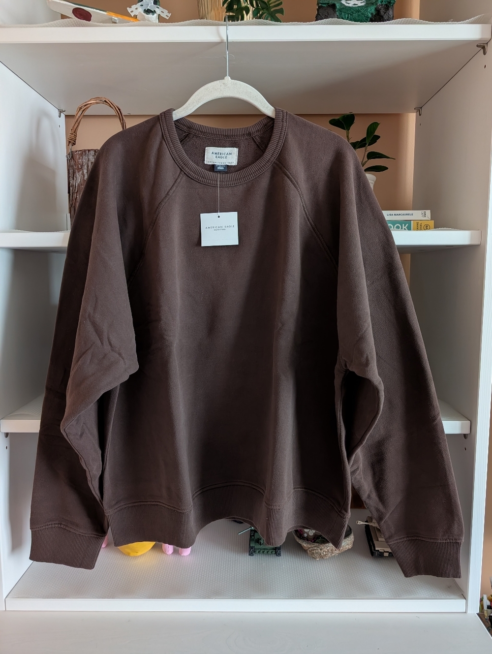 American Eagle AE Cropped Raglan Sweatshirt